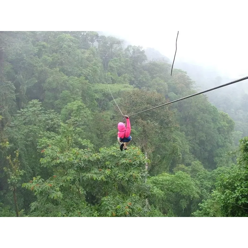 Zip Line Hutan Berat Khusus un - Outdoor Adventure Zipline ulasan dan harga